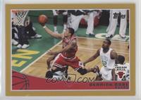 Derrick Rose #/2,009