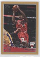 Luol Deng #/2,009