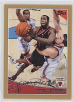 John Salmons #/2,009