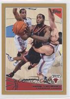 John Salmons #/2,009