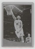 Rasheed Wallace #/1