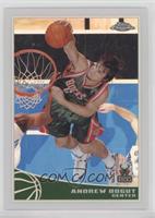 Andrew Bogut #/500