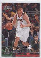 Andrew Bogut