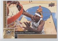 Brendan Haywood