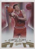 Omer Asik #/100