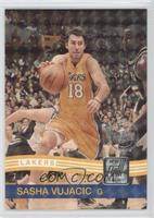 Sasha Vujacic #/100