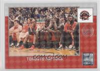 Team Checklist - Toronto Raptors #/100