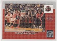 Team Checklist - Toronto Raptors #/100