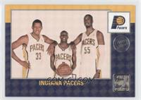 Team Checklist - Indiana Pacers #/100