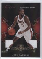 John Salmons #/99