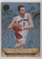 Andrea Bargnani #/25