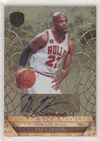 Taj Gibson #/199