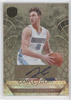 Danilo Gallinari #/299