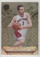 Andrea Bargnani #/299