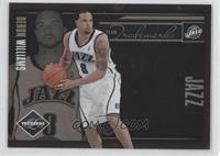 Deron Williams #/149