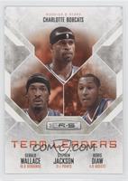 Gerald Wallace, Stephen Jackson, Boris Diaw #/499