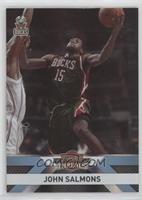 John Salmons #/25