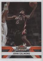 John Salmons #/199