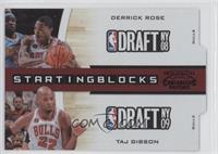 Derrick Rose, Taj Gibson #/49