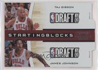 Taj Gibson, James Johnson #/299