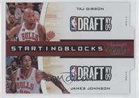 Taj Gibson, James Johnson #/299