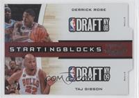 Derrick Rose, Taj Gibson #/299