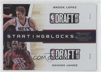 Brook Lopez, Damion James