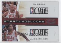 Taj Gibson, James Johnson