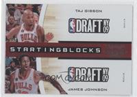 Taj Gibson, James Johnson