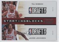 Taj Gibson, James Johnson