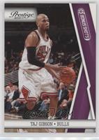 Taj Gibson #/49