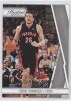 Hedo Turkoglu