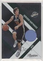 Gordon Hayward #/499