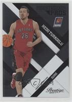 Hedo Turkoglu #/25