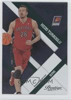 Hedo Turkoglu #/499