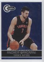 Andrea Bargnani #/299