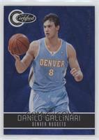 Danilo Gallinari #/299