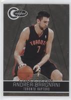 Andrea Bargnani #/25