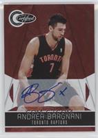 Andrea Bargnani #/25