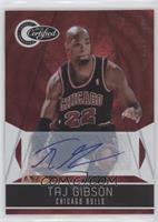 Taj Gibson #/99