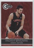 Andrea Bargnani #/499