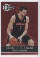 Andrea Bargnani #/499