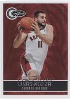 Linas Kleiza #/499