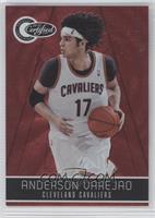 Anderson Varejao #/499