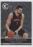 Andrea Bargnani #/1,849