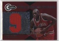 Luol Deng #/299