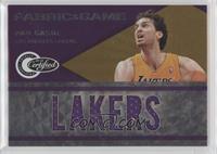 Pau Gasol #/299