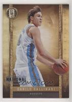 Danilo Gallinari #/5