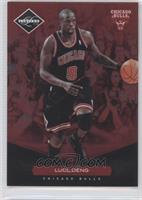 Luol Deng #/299