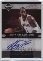 Antawn Jamison #/49